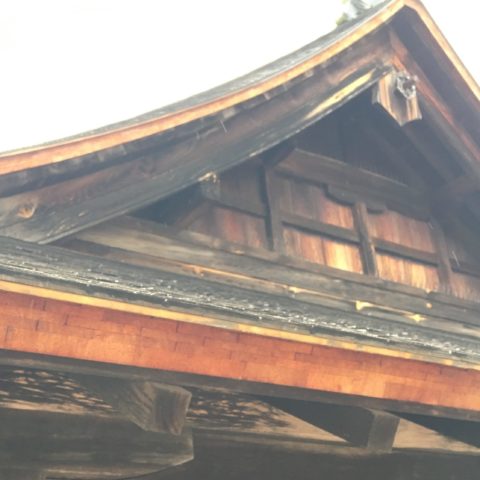 厳島の檜皮葺の屋根
